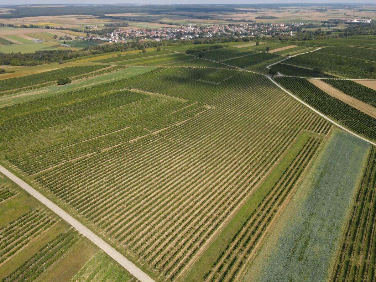 Pension Schloegl Lutzmannsburg Buitenkant foto